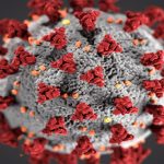 What is The Impact of Coronavirus on Business?