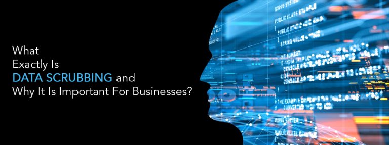 data scrubbing services