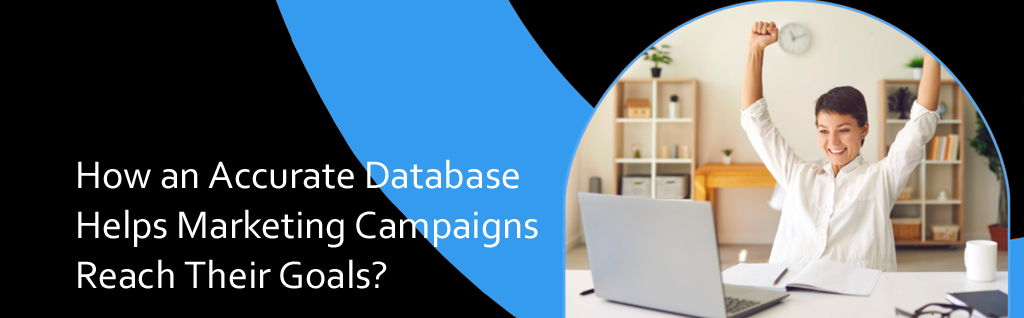 How an Accurate Database Helps Marketing Campaigns Reach Their Goals?