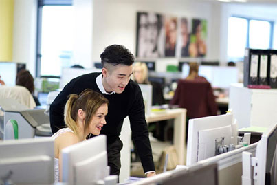 Our Work Experience