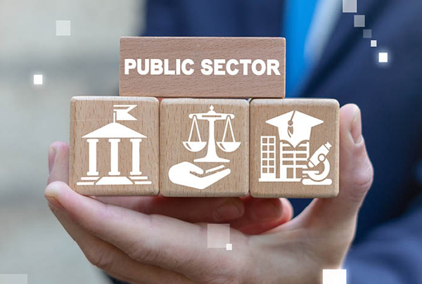 Public Sector Software Solution