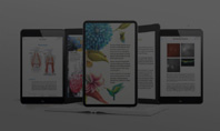 Fixed Layout ePub